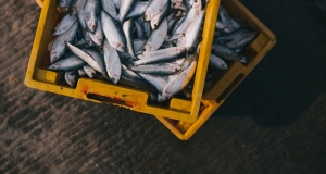 Hrana: Komisija objavila rezultate plana nadzora nad deklariranjem proizvoda ribarstva