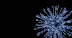 EU ulaže 10 milijuna eura u istraživanje virusa zike