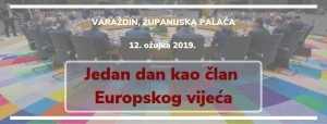 Jedan dan kao član Europskog vijeća